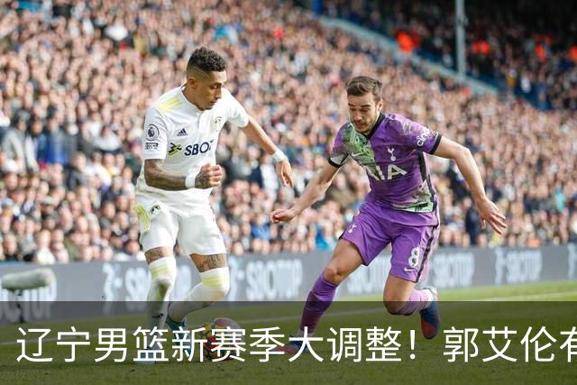 辽宁男篮新赛季大调整！郭艾伦有望重返辽篮，杨鸣或将重掌帅印